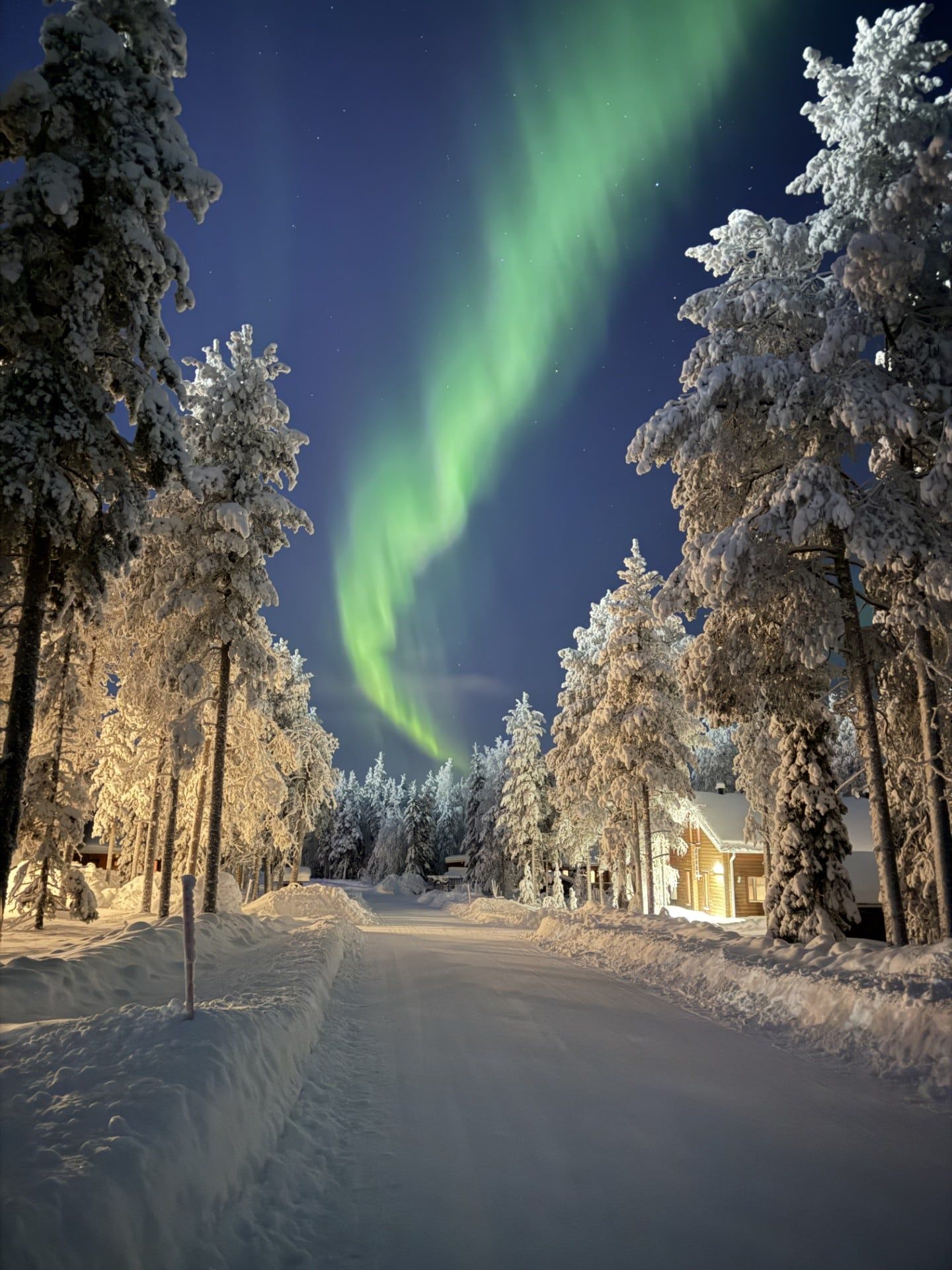 Revontulet Sointuilevin hirsitalojen ja lumisten puiden yllä